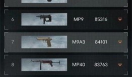 暗区突围最新版爆料新枪,神秘性能引发玩家热议