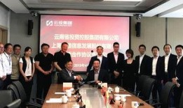 云南云投爆料最新消息新闻