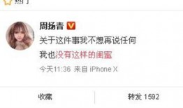 沙河网最新爆料新闻报道,最新新闻报道揭秘